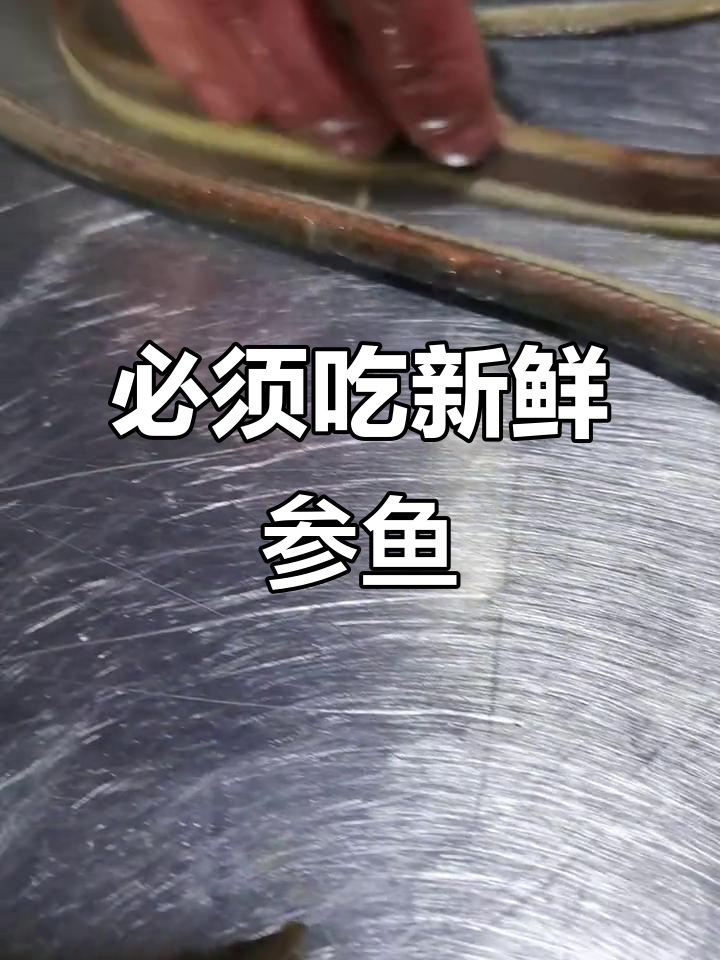 现划现炒，参鱼美味不容错过