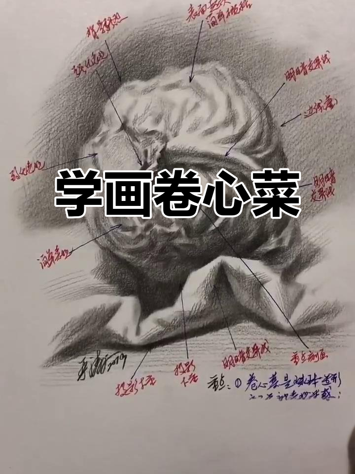 素描卷心菜,轻松学会手绘技巧