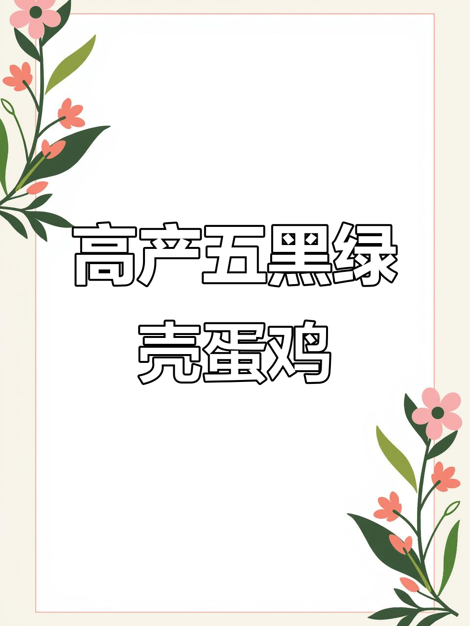 五黑绿壳蛋鸡,营养丰富抗病强,南北皆宜养殖