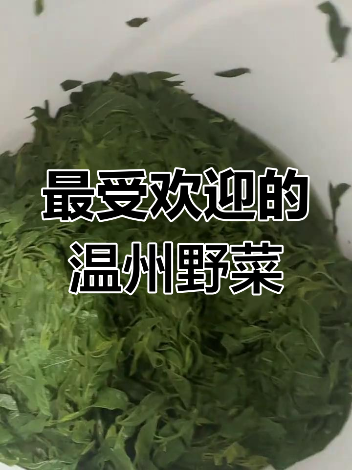温州最热销的野菜,秋风丝火爆市场