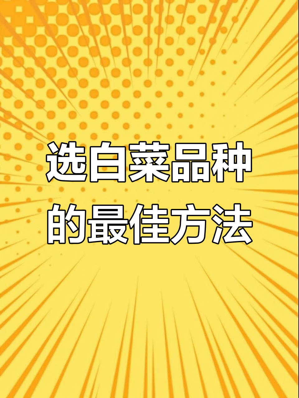 选择白菜品种的技巧,教你如何挑选最优质的