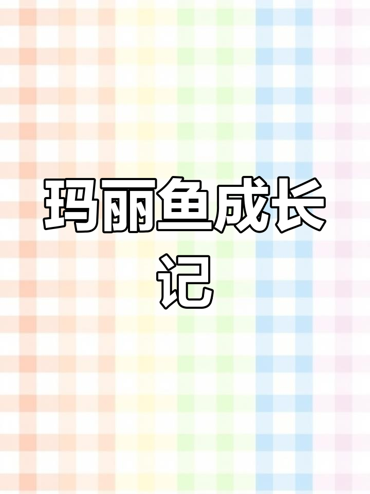 玛丽鱼从零到一百二十天,变化惊人!