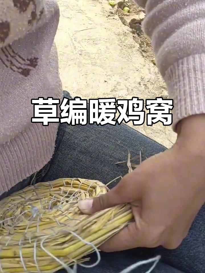 寒冷来临，为母鸡打造温暖草编鸡窝