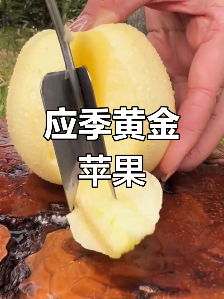 新鲜黄金维也纳苹果,应季水果推荐