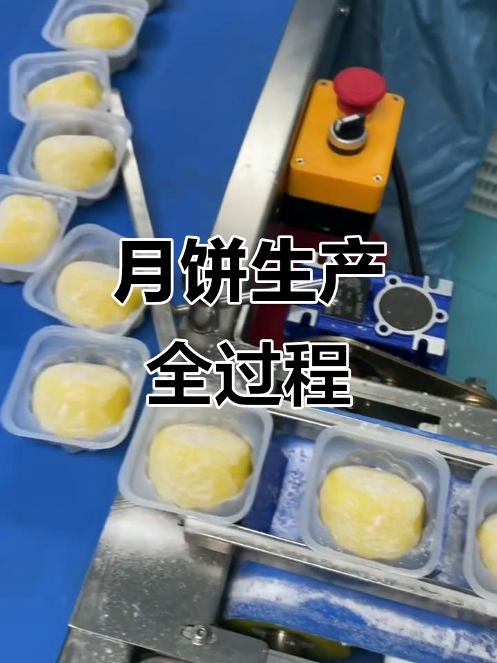 王冰皮月饼制作全流程揭秘,从原料到成品的精细工艺