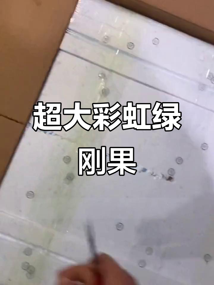 超大彩虹绿刚果