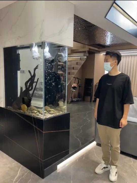 分享一个鱼缸隔断案例