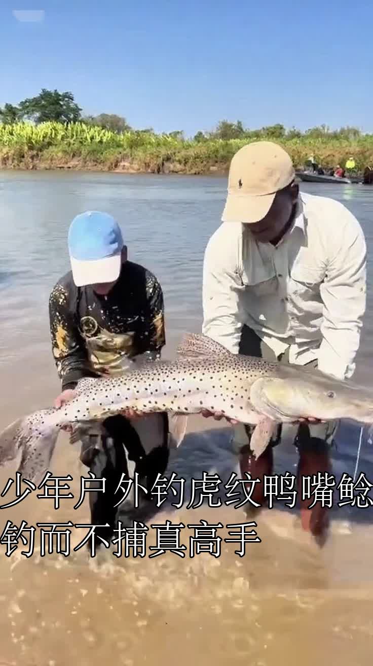 少年户外钓虎纹鸭嘴鲶钓而不捕真高手