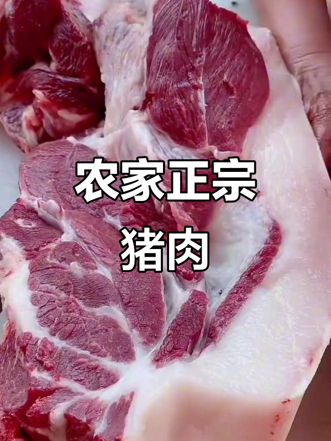 正宗农村猪肉,雪白小标流油,吃上一口停不下来