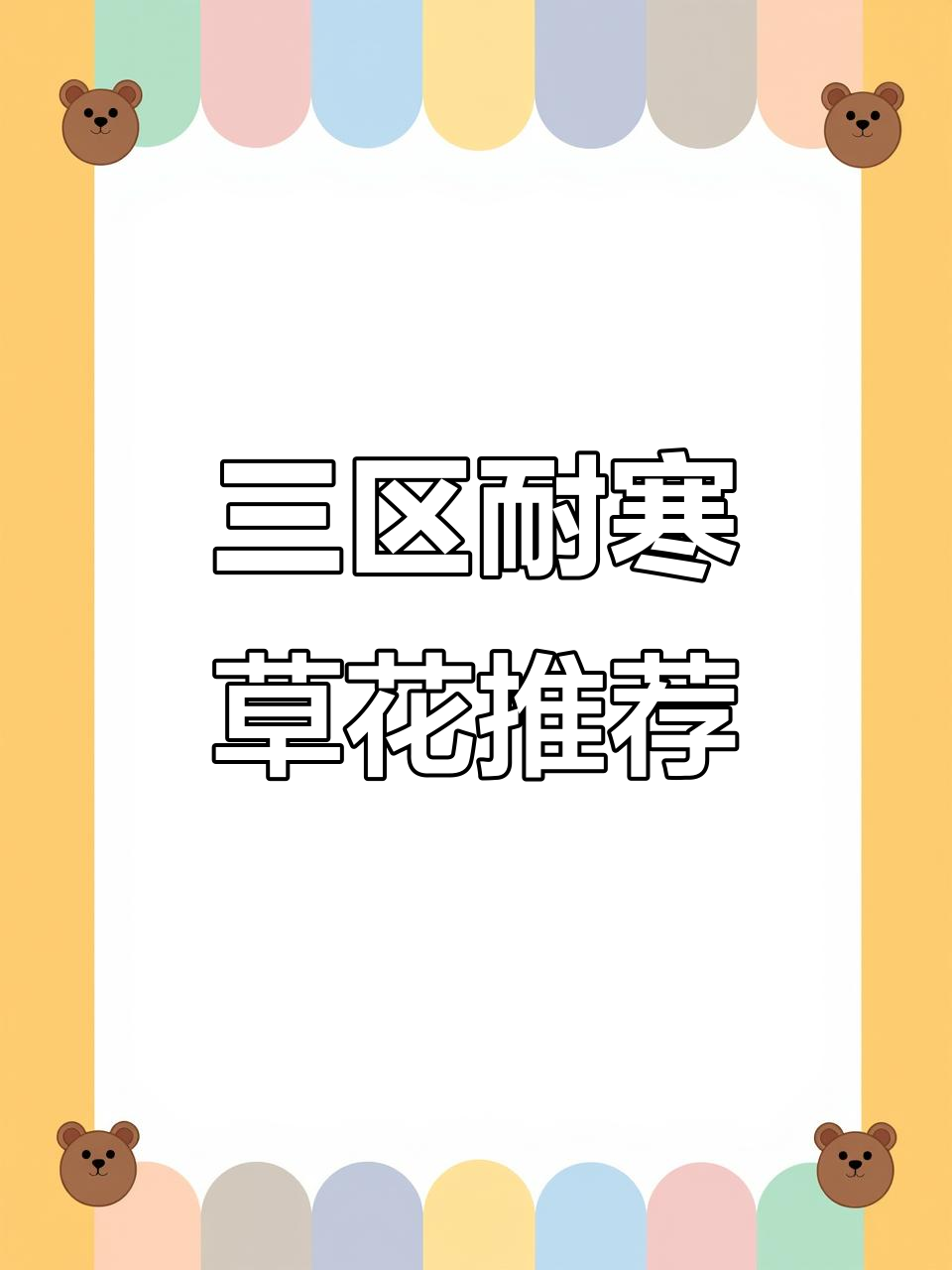 耐寒三区最推荐的草花品种,美丽又抗冻