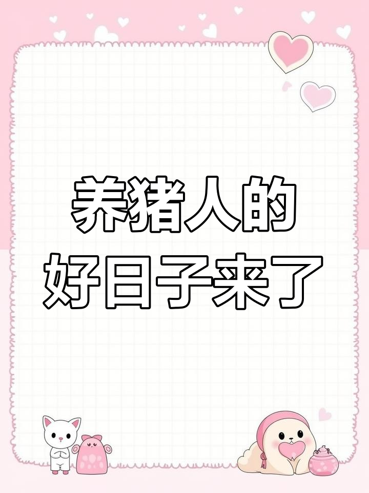 广东猪价持续上涨,养猪人迎来新机遇