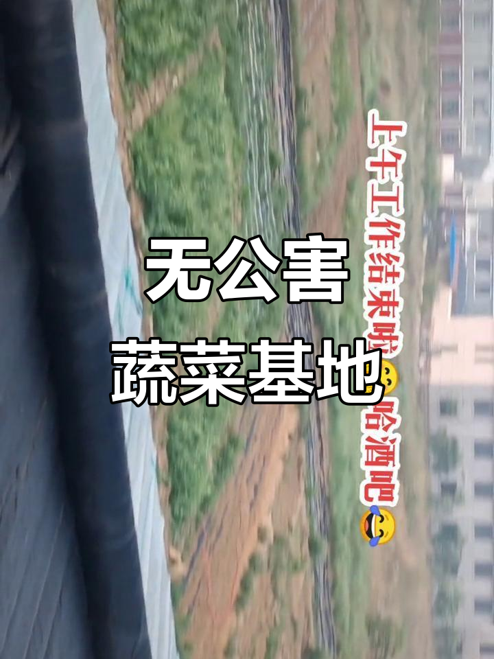 龙黎农业生态园:无公害蔬菜基地,绿色健康新风尚