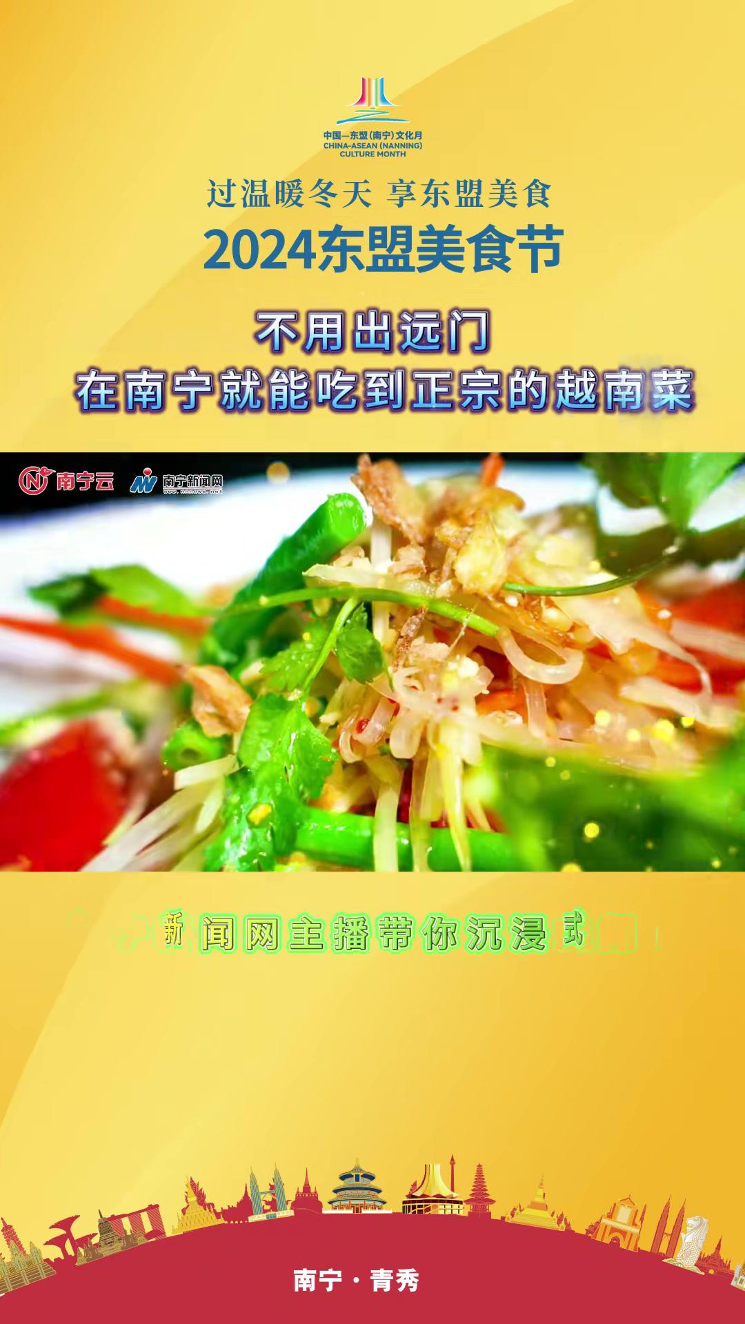 不用出远门,在南宁就能吃到正宗的越南菜 2024东盟美食节 三千碗老友粉免费请东北老铁嗦 