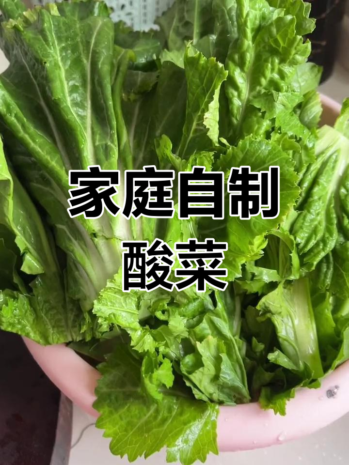 自制酸菜鱼必备泡菜,简单步骤教你做四川风味