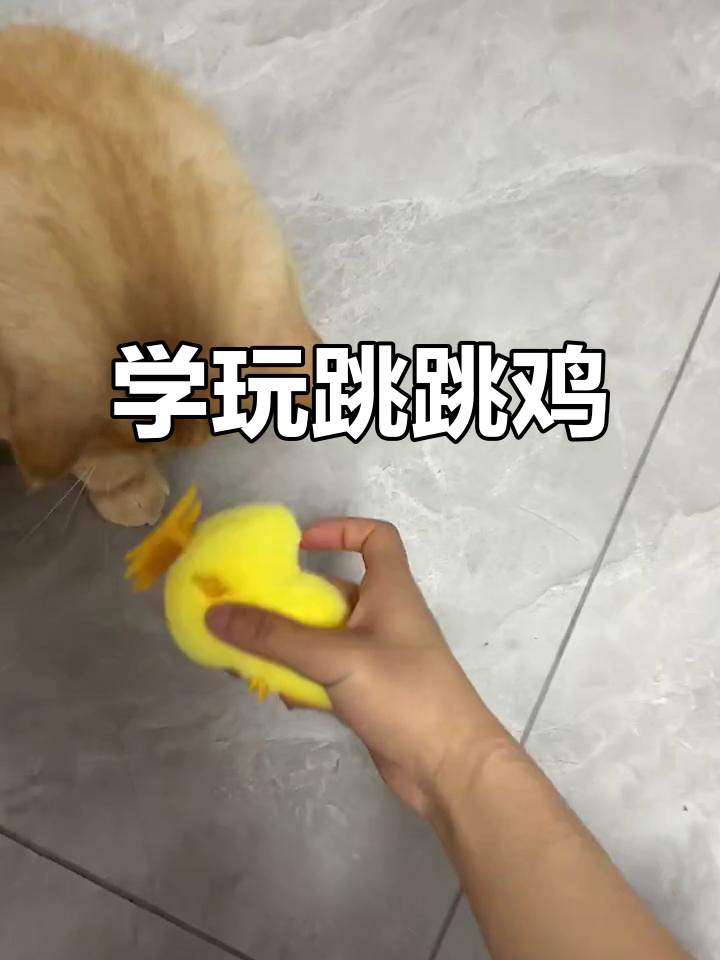 跳跳鸡玩法大揭秘,轻松学会这个有趣的游戏