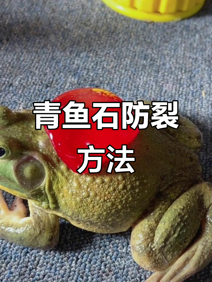 青鱼石防裂技巧大揭秘,如何保养避免开裂