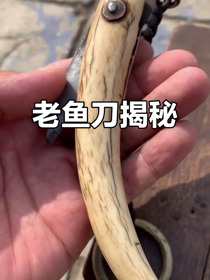 藏传老鱼刀,车老板子必备的宝贝