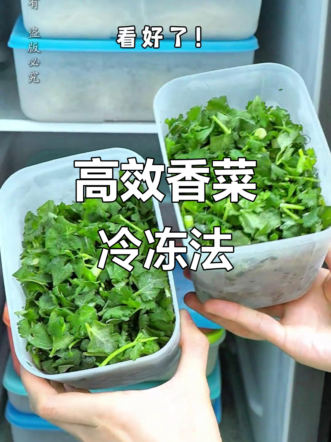 香菜冷冻技巧大公开,轻松保存不浪费