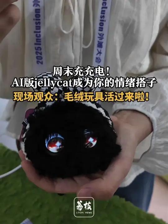  9月13日,2025外滩大会现场,AI情感陪伴机器人引发女生们关注,不同的的外形代表不同