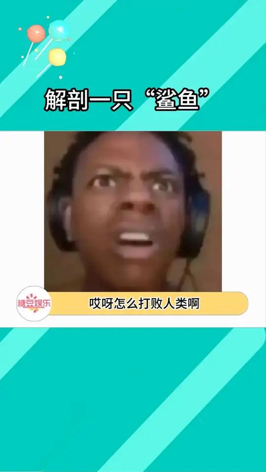解剖一只“鲨鱼” 居然给我刷到解剖鲨鱼的了！