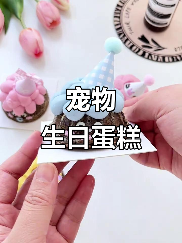 宠物生日蛋糕,简单做,猫狗都爱吃!