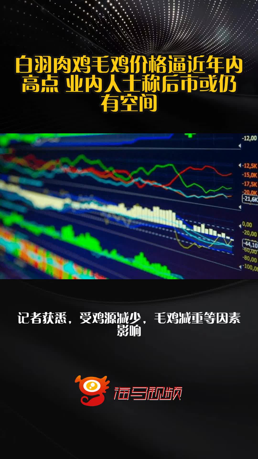 白羽肉鸡毛鸡价格逼近年内高点 业内人士称后市或仍有空间