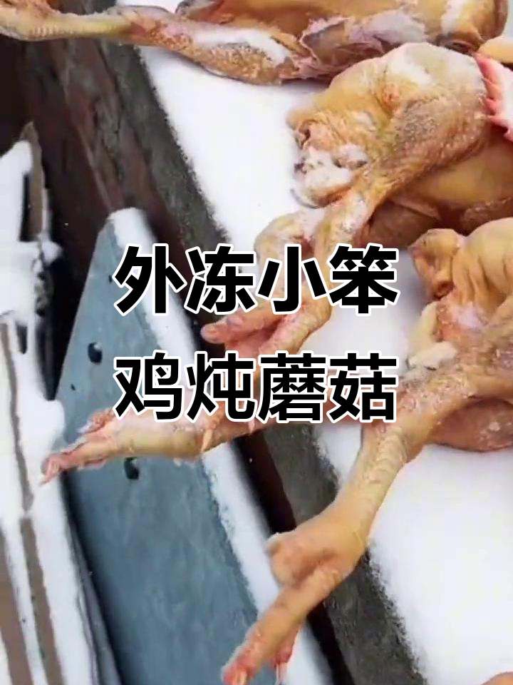东北冬日必备:外冻小鸡炖蘑菇,雪天里的美味大餐