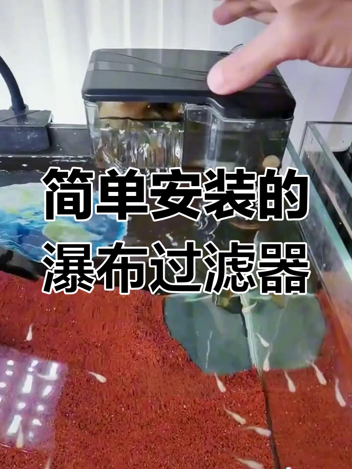 小缸养鱼必备:瀑布过滤器的正确使用方法