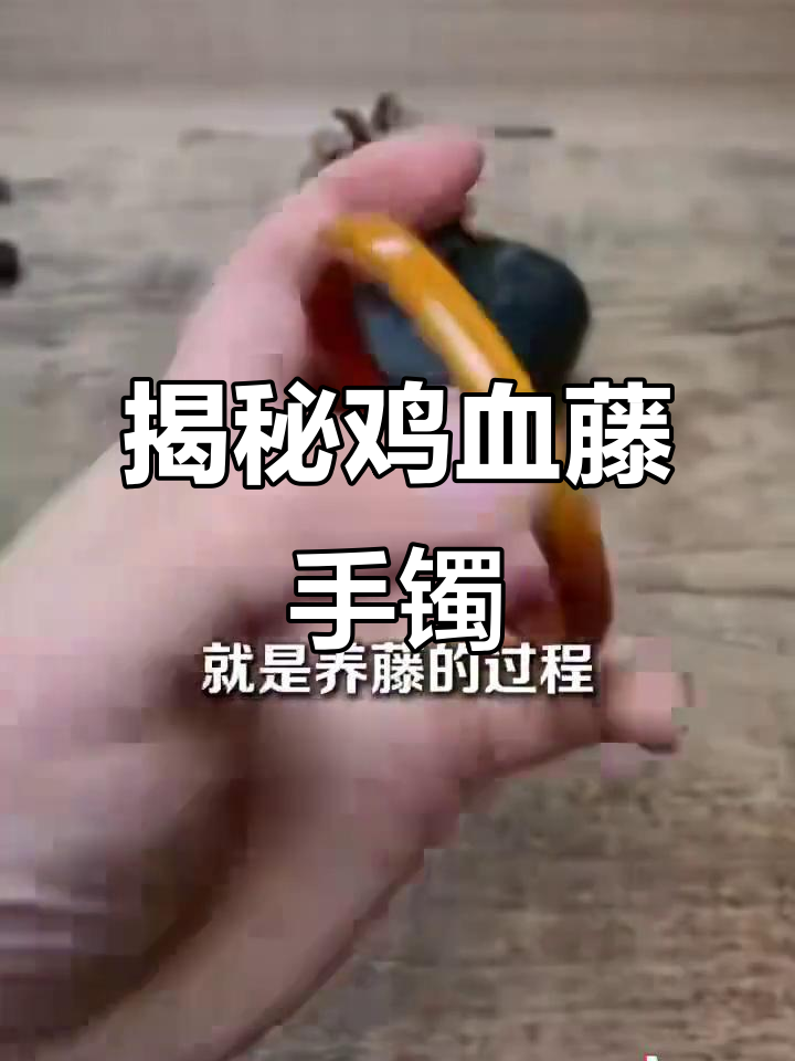 鸡血藤手镯的真相:它真的是用蜜花豆做的吗?