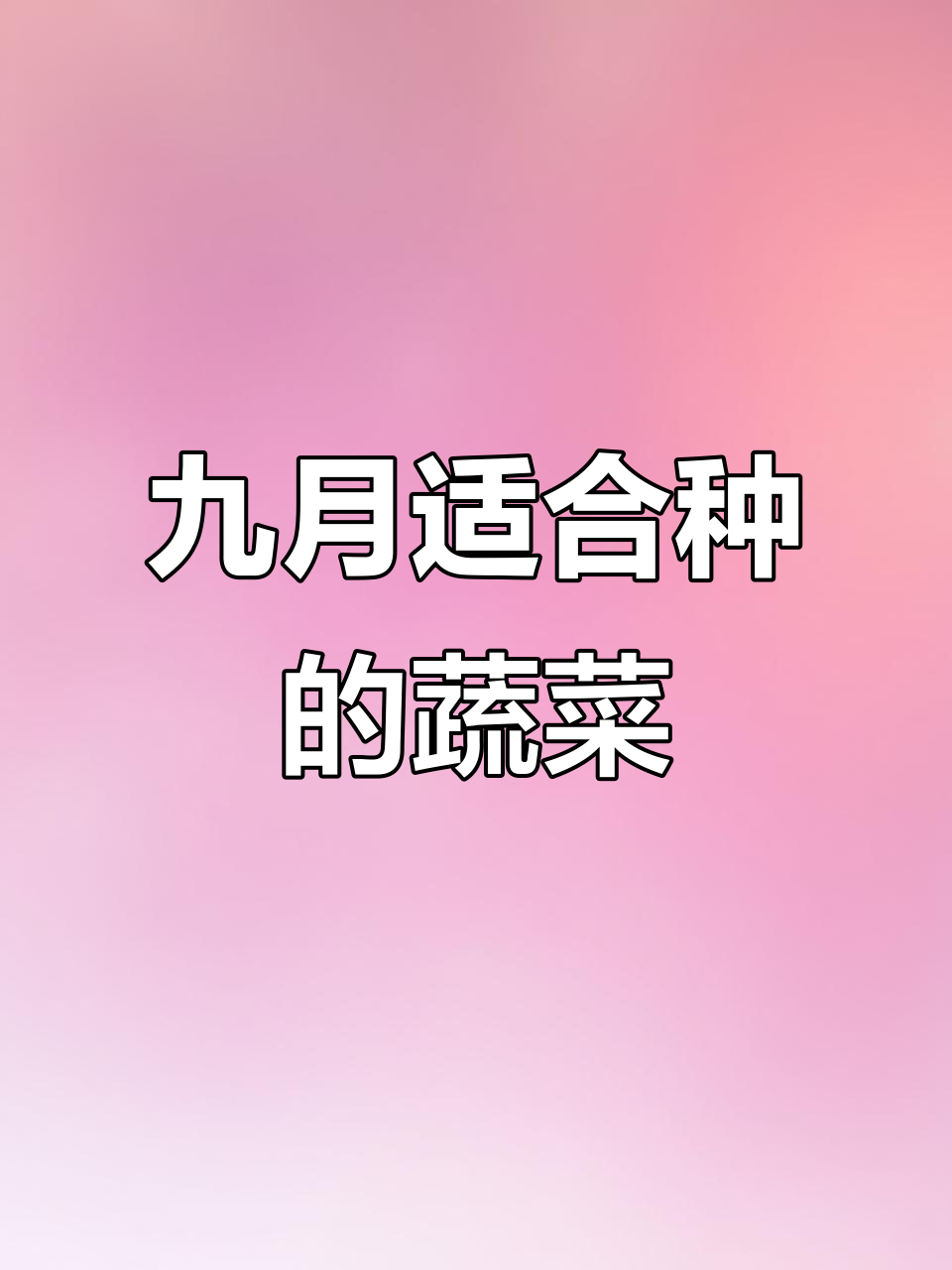 9月种菜全攻略,这些蔬菜最适合秋季种植