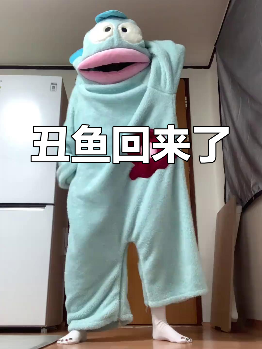 丑鱼汉顿回归,超喜关系大揭秘