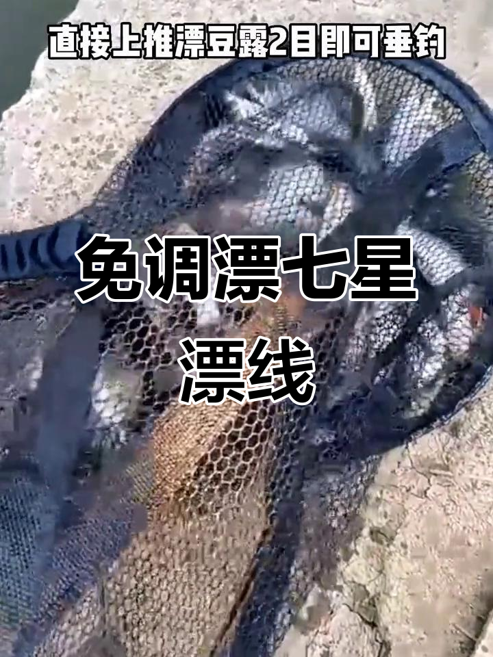 冬季钓鱼必备七星漂线组,免调漂直接钓鲫鱼