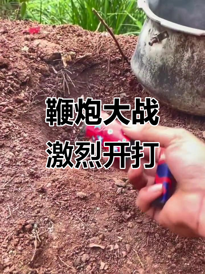 鞭炮大战：各种型号鱼雷炮大比拼，谁才是真正的战神？
