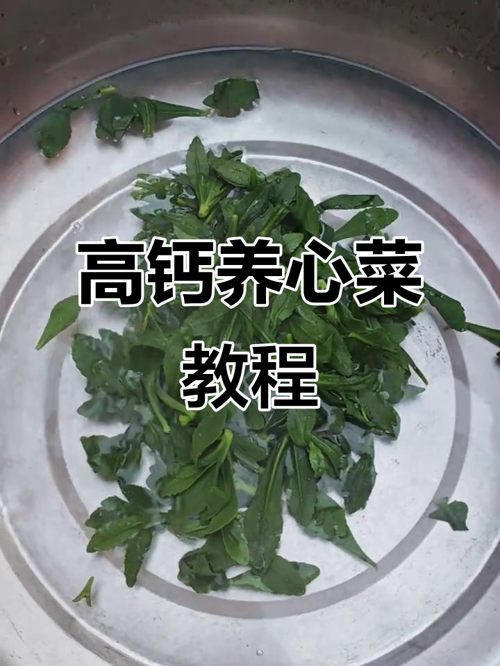养心菜家常做法,简单又美味的高钙美食