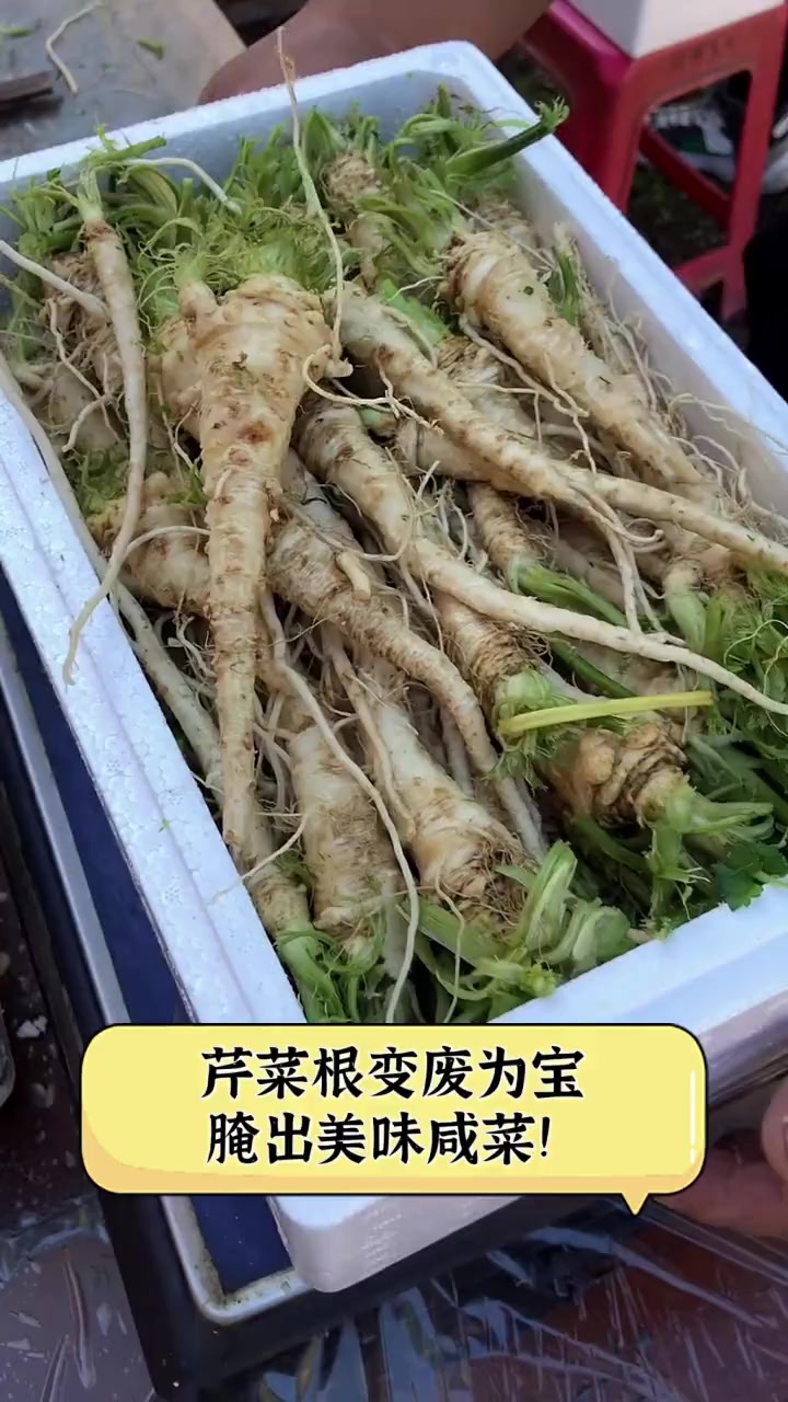 芹菜根变废为宝,腌出美味咸菜!