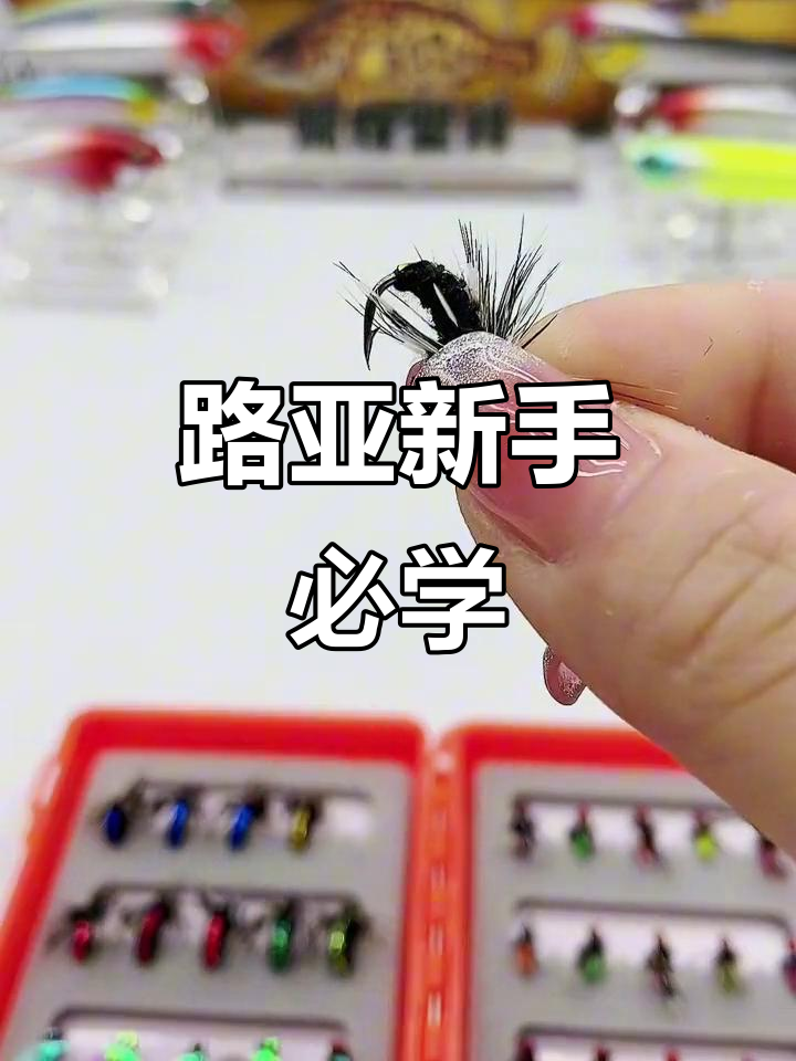 飞蝇钩轻松捕获小鱼,路亚入门必备技巧!