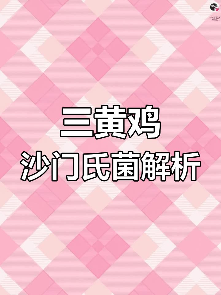 沙门氏菌感染三黄鸡,解剖发现肝脏坏死点