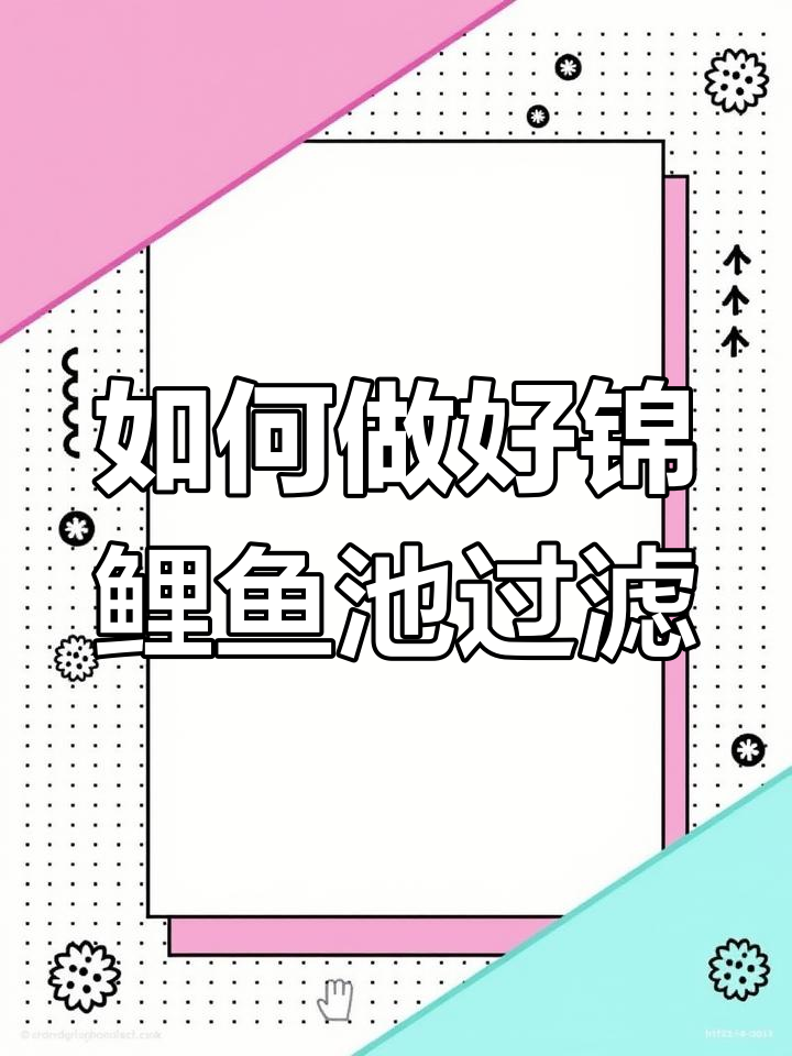 锦鲤鱼池过滤系统设计全攻略:底滤与收集能力解析