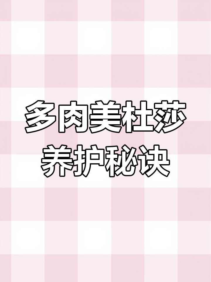 美杜莎多肉养护技巧:扦插、嫁接与空调房管理