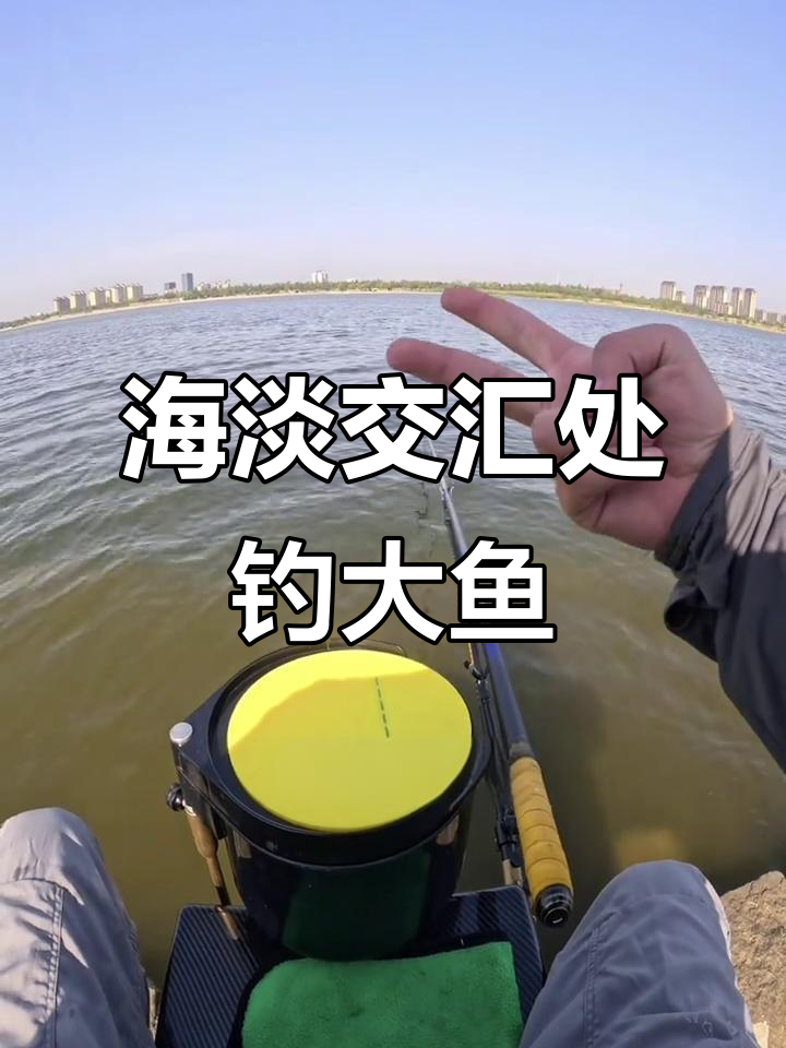 河海交界钓鱼挑战,梭鱼和淡水鱼一网打尽