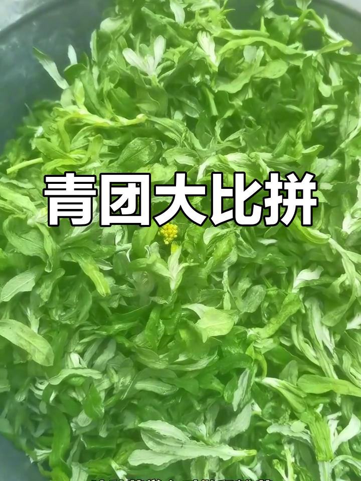 清明节青团各地风味各异,甜咸皆有,你家乡的特色是什么?