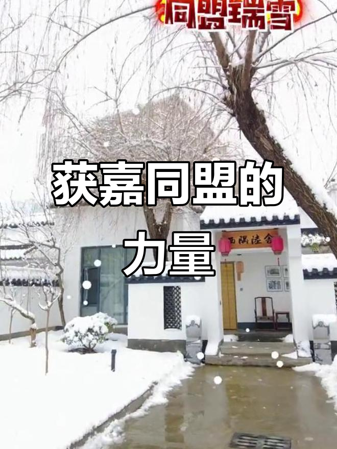 获嘉同盟:团结一心,共创辉煌