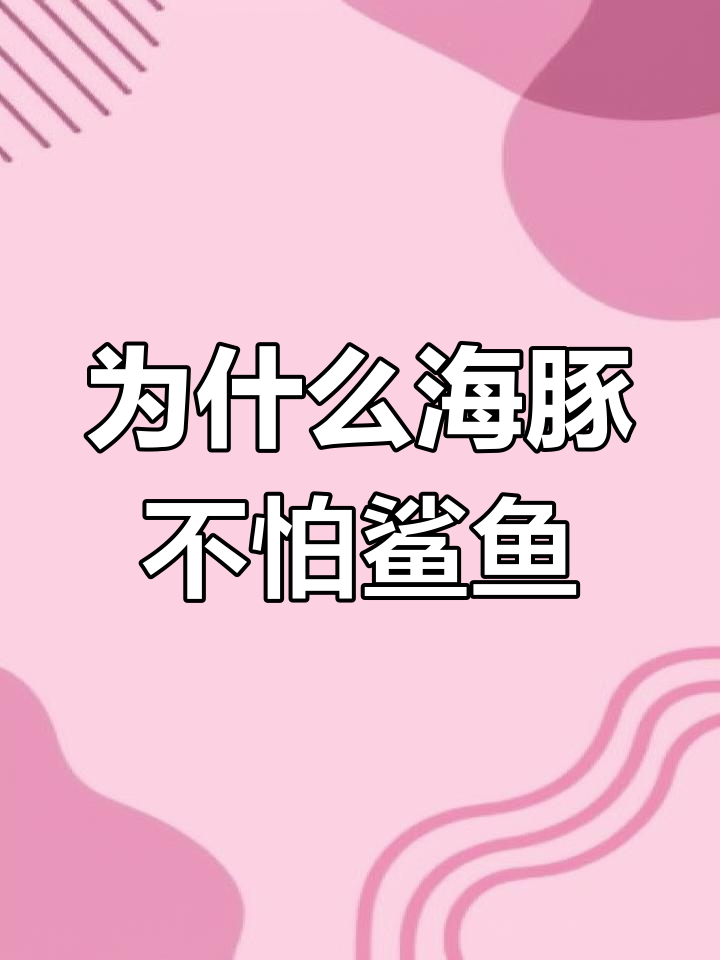 海豚为何能躲过鲨鱼捕食？速度与声波的致命武器揭秘