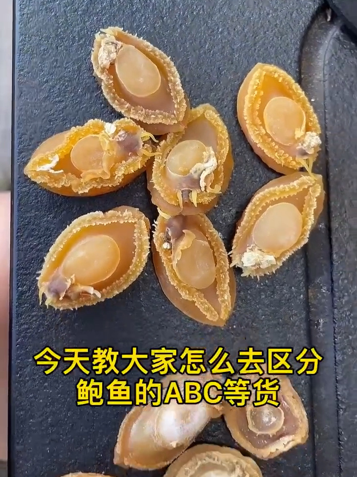 干货如何区分鲍鱼干的品质