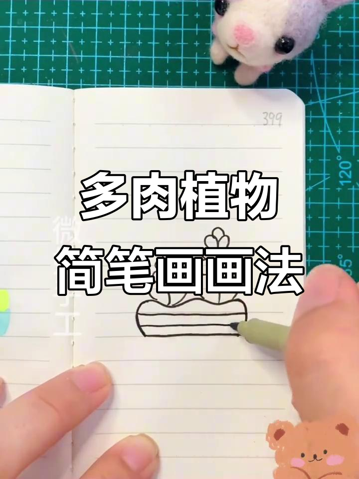 轻松画出可爱多肉植物，简笔画教程来啦！