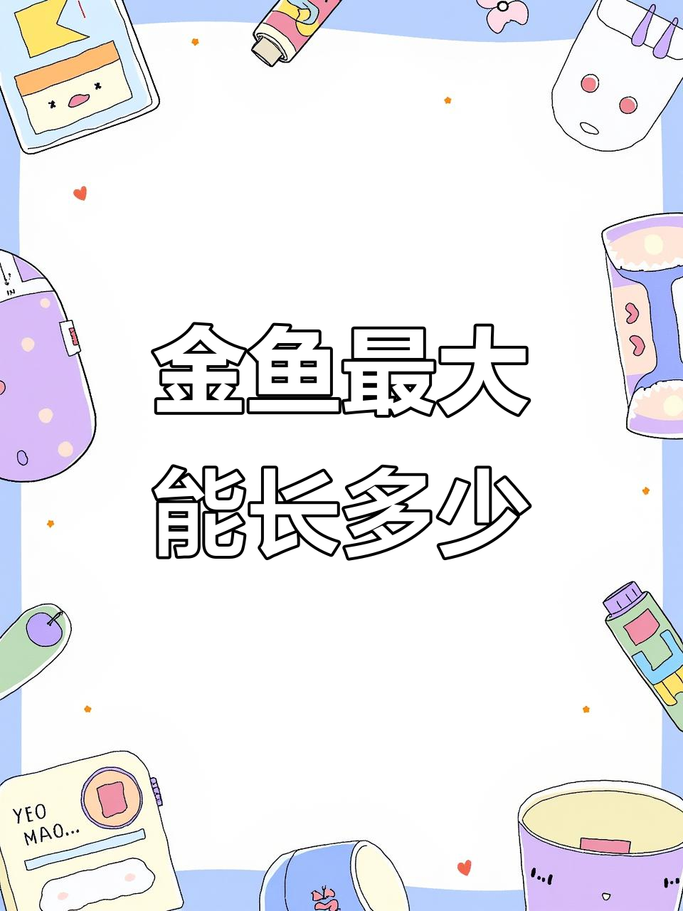 绒球金鱼能长多大?从出生到成年的变化全过程