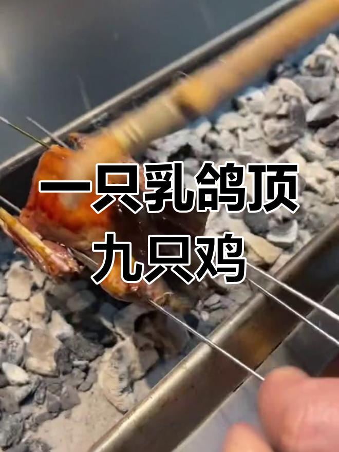 锦州烧烤鸽子,简单又美味!一鸽胜九鸡的秘诀