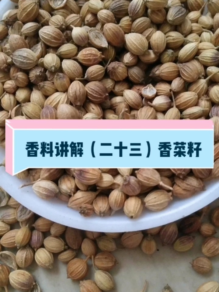 香料香菜籽在卤水中的用法和讲解