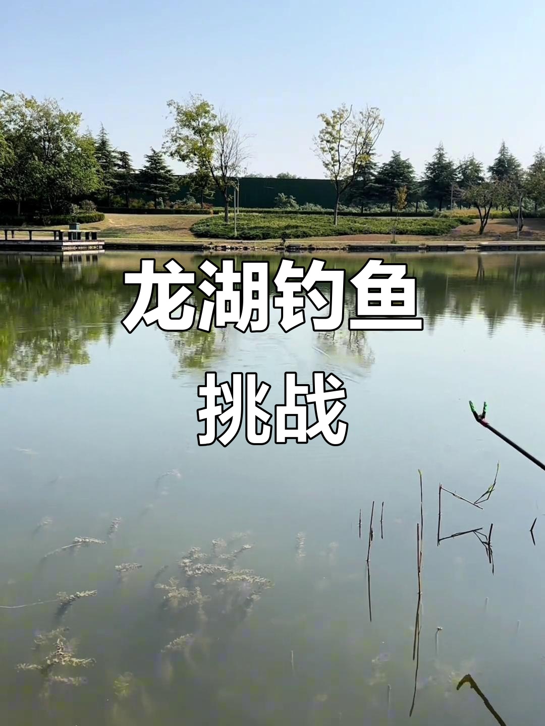 龙湖钓鱼区挑战:花骨鱼钓点大揭秘,不空军也能有收获