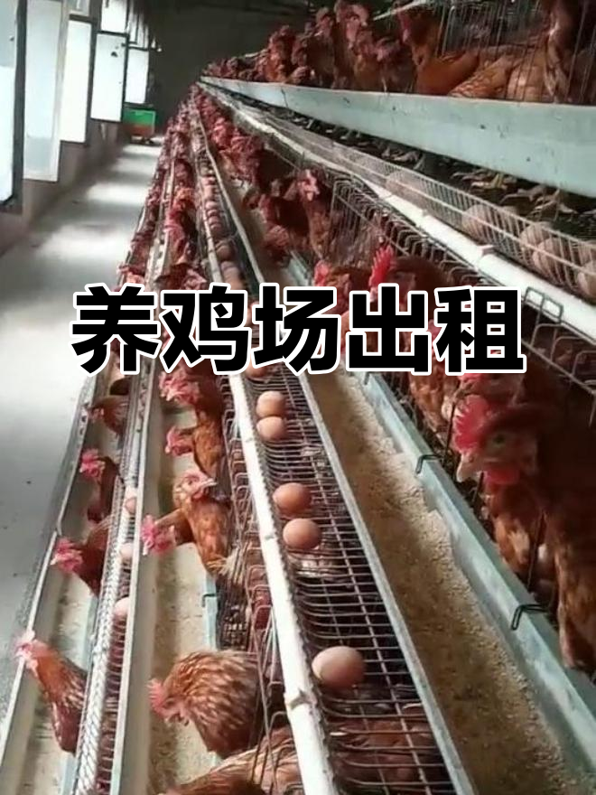 灵丘养鸡场,3亩地规模,设施齐全,适合大规模养殖